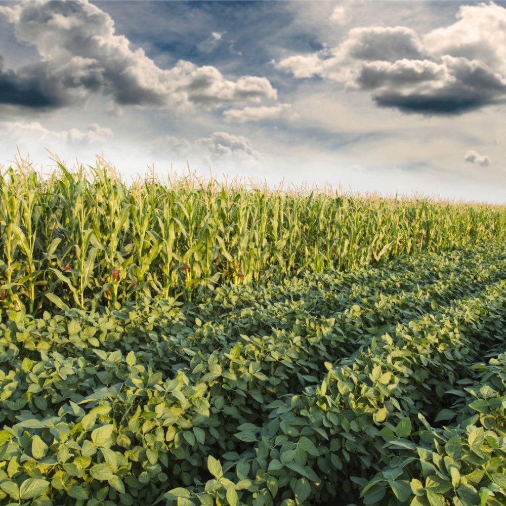 Qualifying Acres in the 40B Conservation Programs