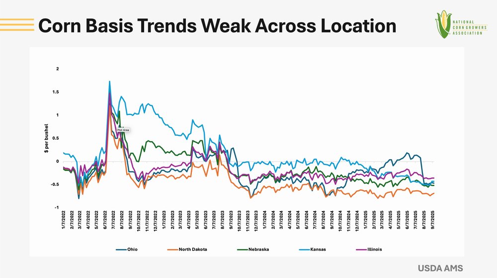 To Sell or to Store: Basis and Storage Concerns Shaping Corn Farmers ...