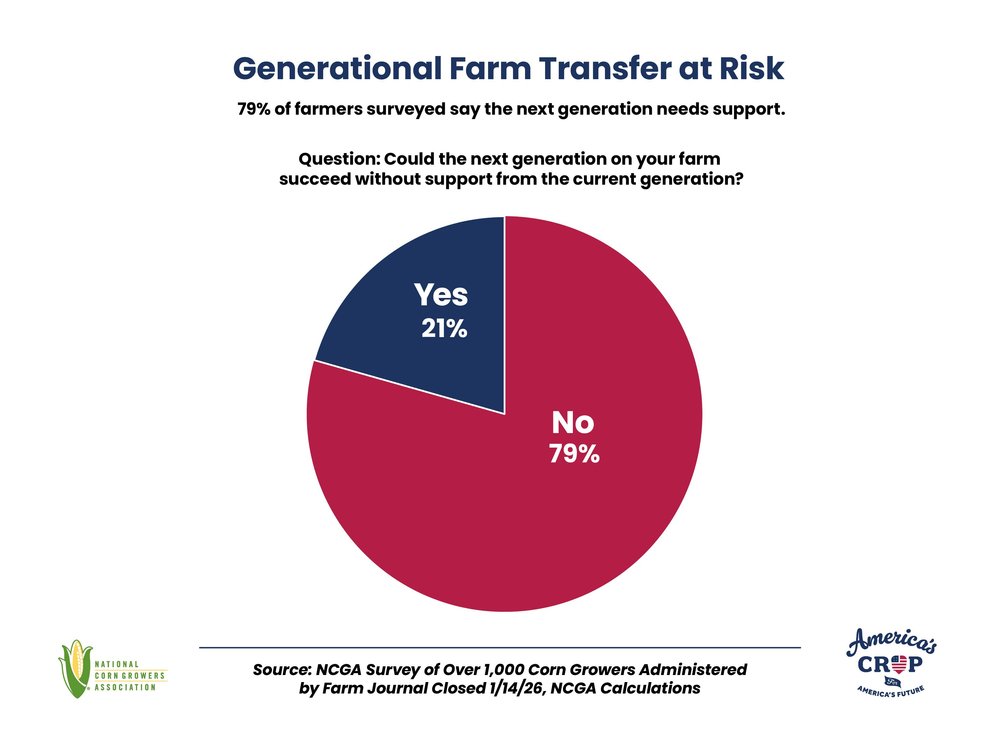 America's Crop at Risk: The Future of Corn and Family Farms