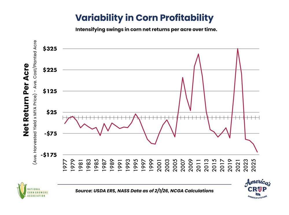 America's Crop at Risk: The Future of Corn and Family Farms