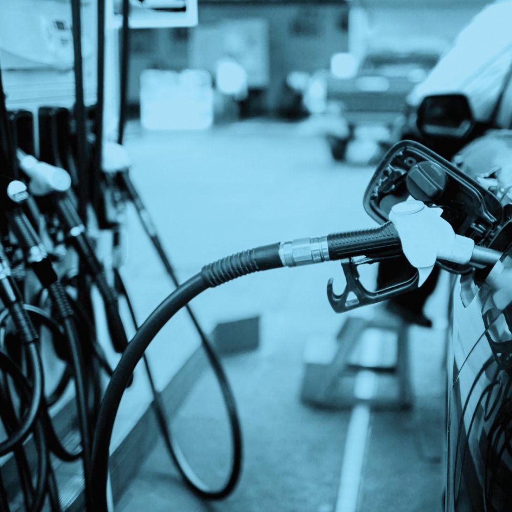 New Study Highlights the Environmental Benefits of Showing